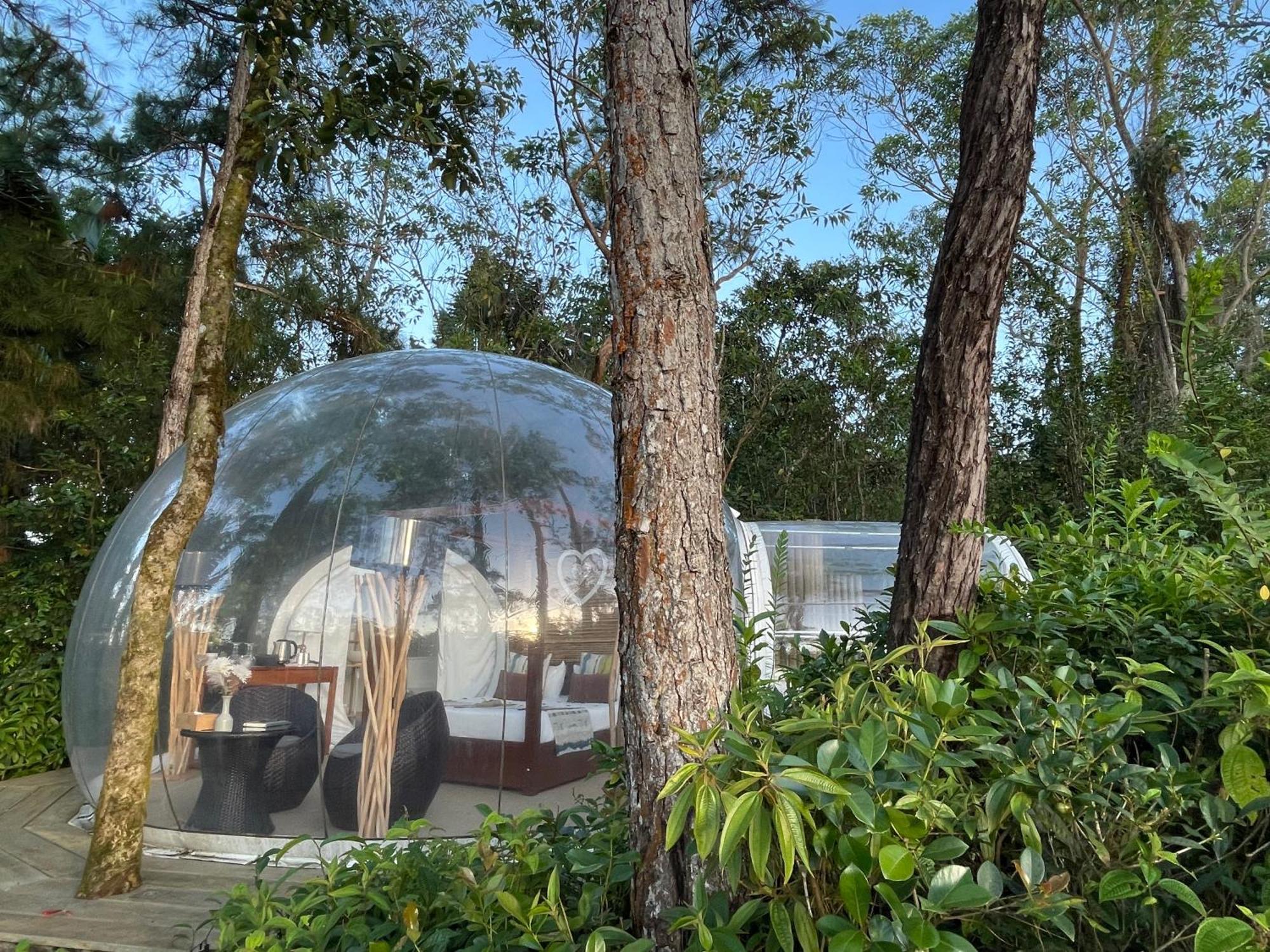 Bubble Lodge Bois Chéri Plantation Extérieur photo
